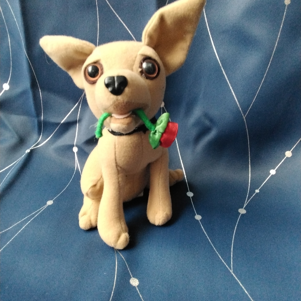 Talking Taco Bell chihuahua.  I think I'm in love.